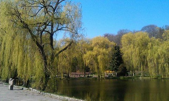 Park Oruński
